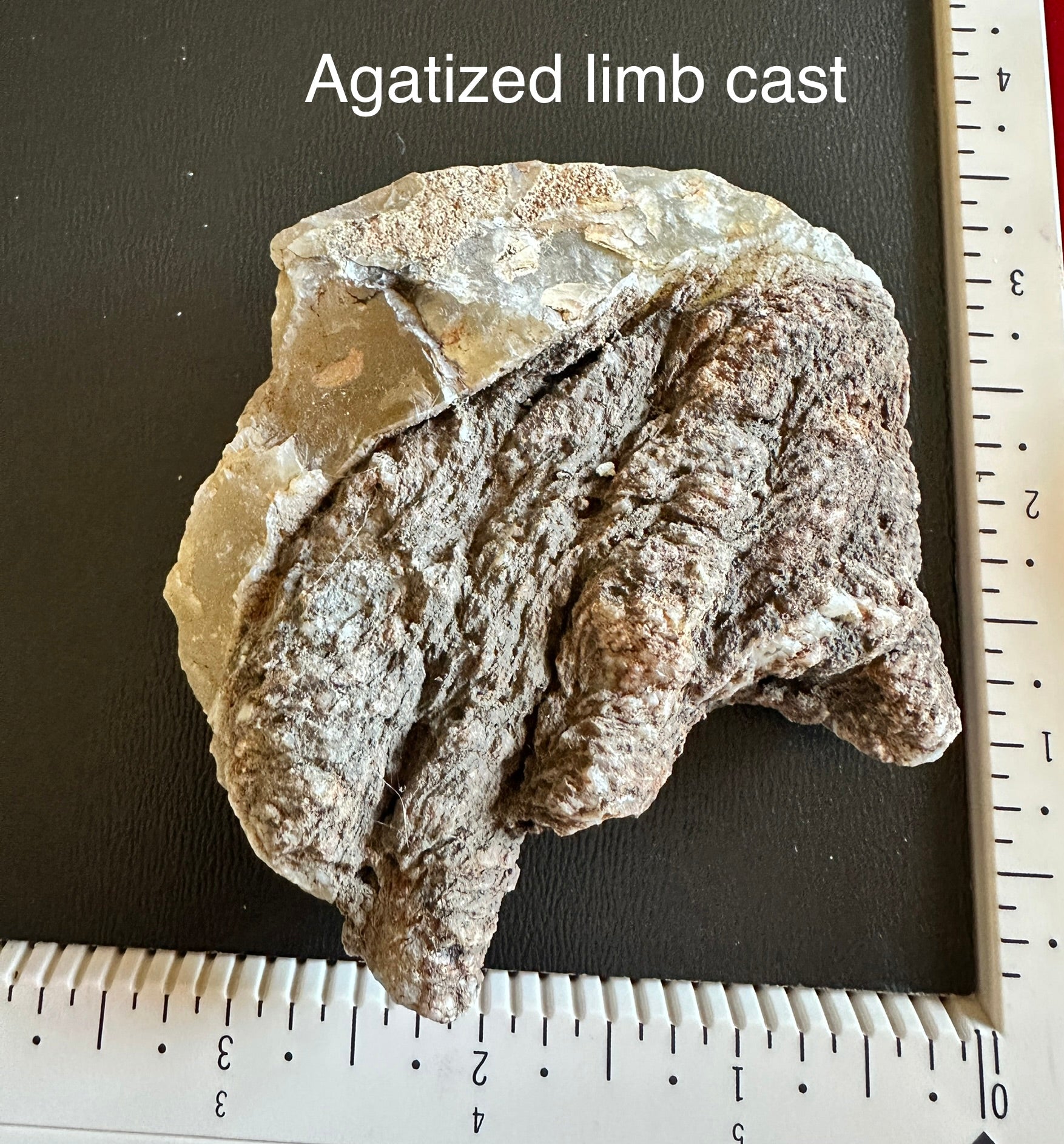 Agatized limb cast